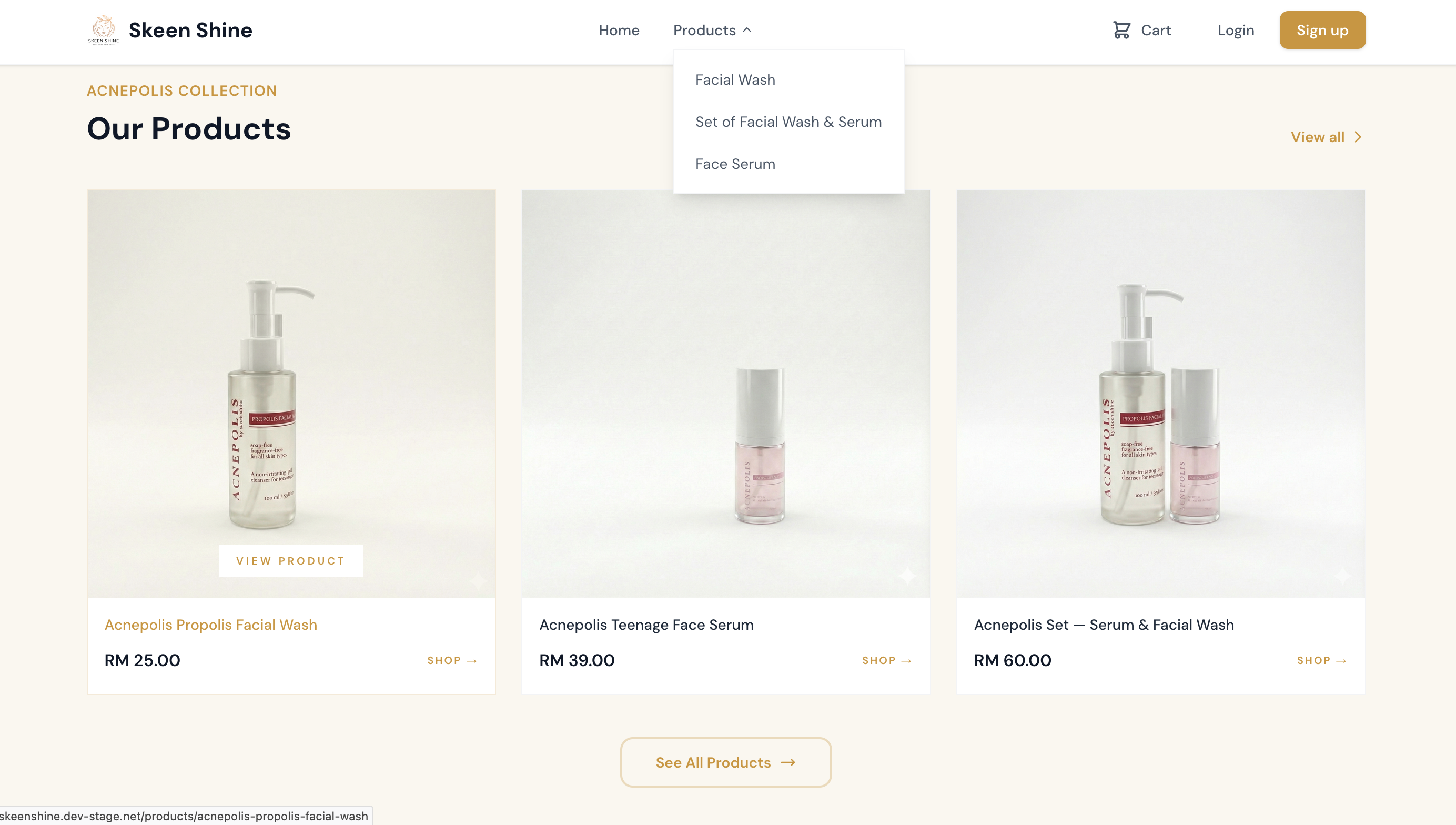 e-Commerce Website screenshot