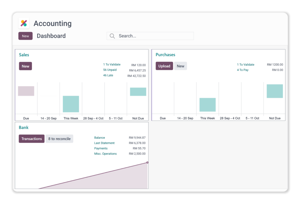 Accounting screenshot 2