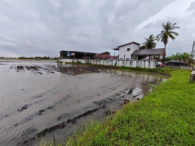Tanah Pertanian Permatang Gunong Gunung Keriang Kedah