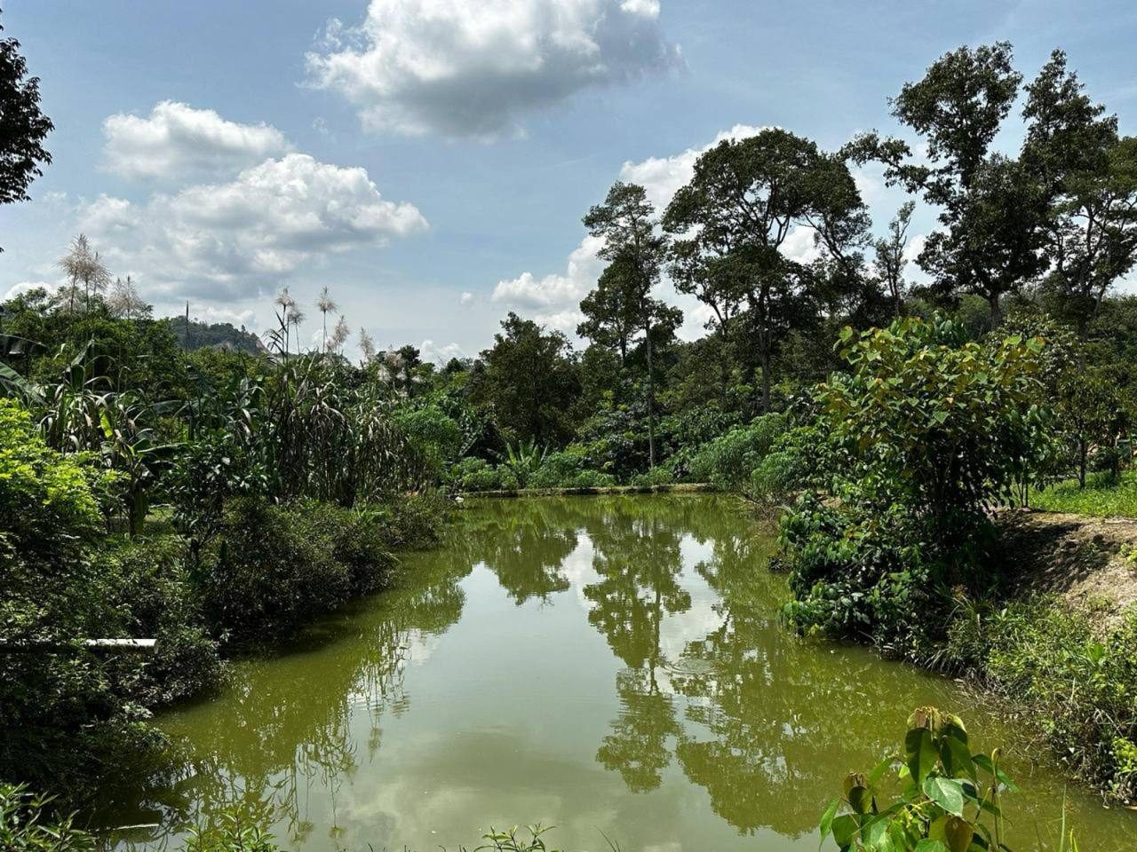Tanah Pertanian 2 Ekar Sungai Pening Semenyih Kajang Selangor Freehold