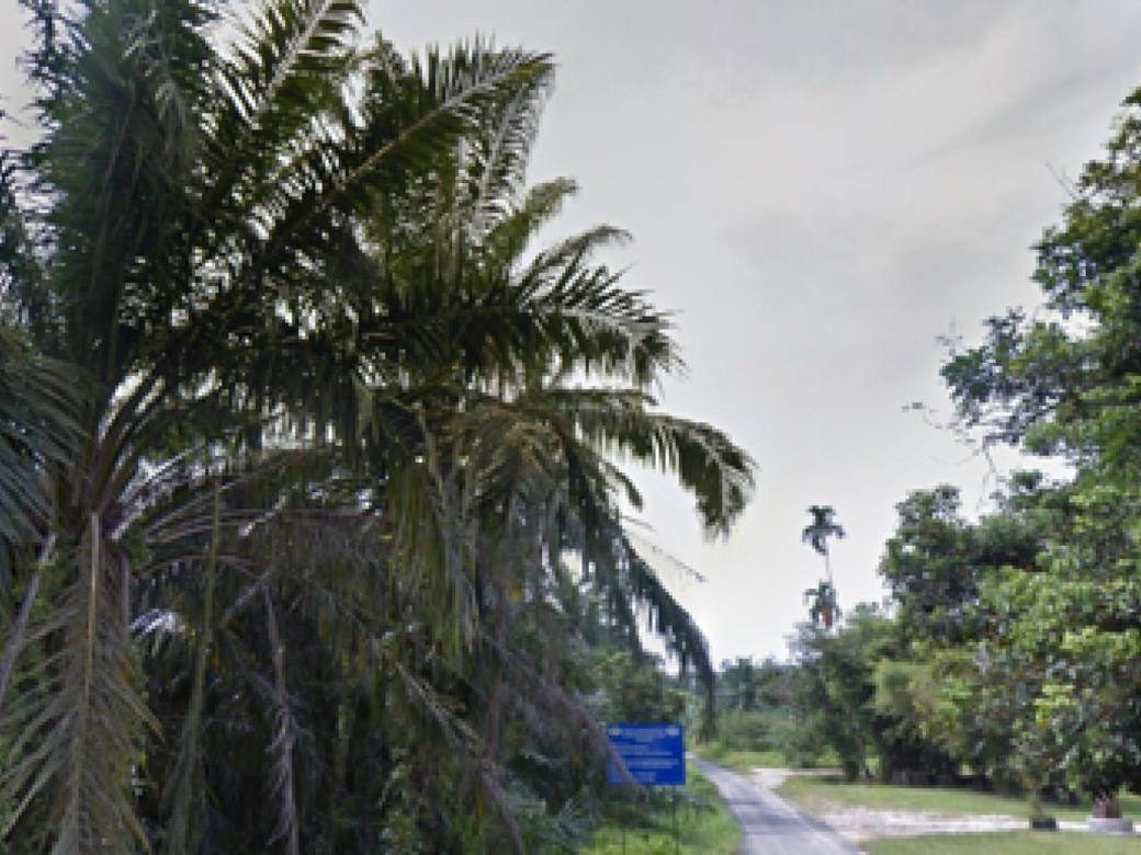 Tanah Pertanian 2.5 Ekar Freehold Kapar Klang Selangor Zoning Perumahan