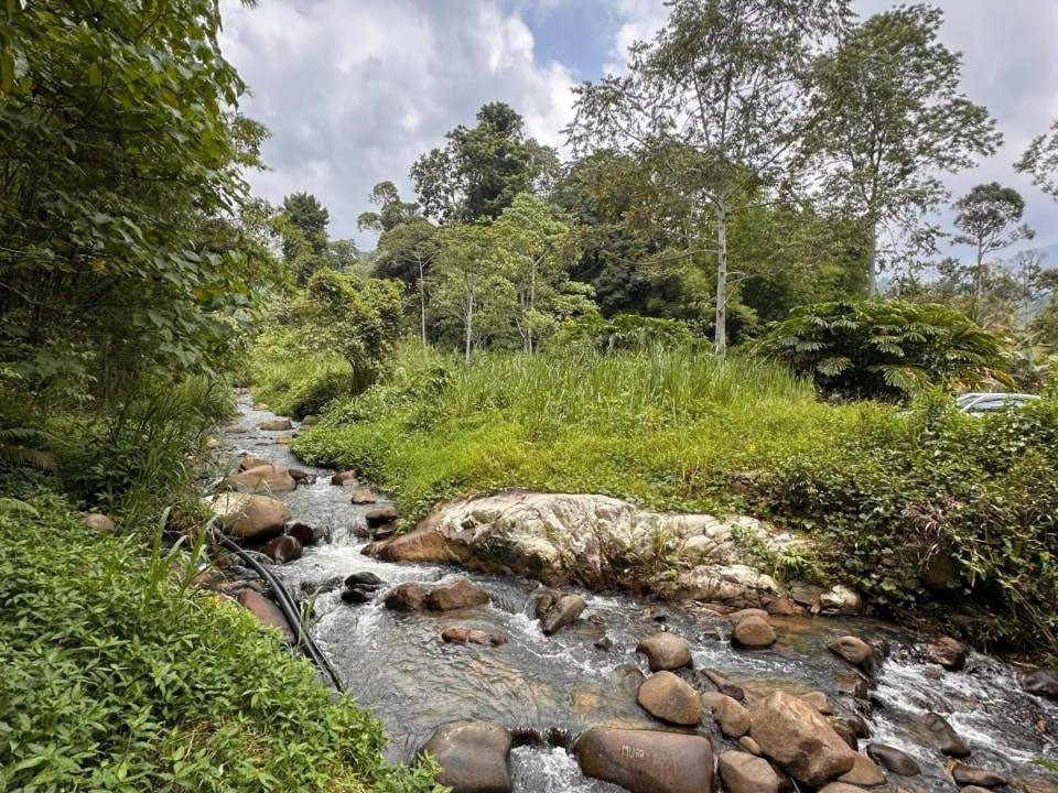 Tanah 2.82 Ekar Janda Baik Bentong Ada Sungai Freehold