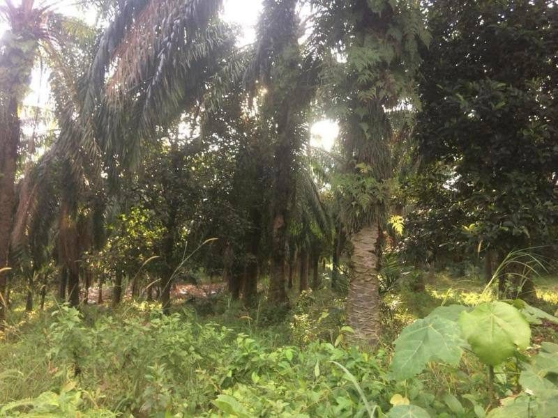 Lot Banglo Bukit Damar Cyberjaya 6,006 sqft Below Market