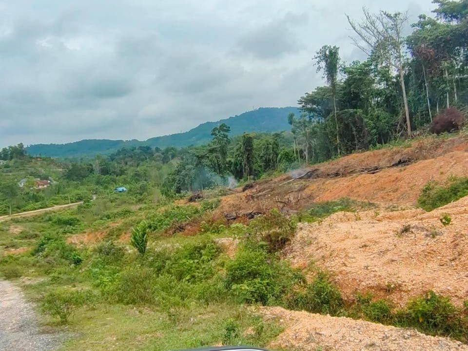Tanah 2.29 Ekar Sungai Buah Dengkil Freehold Tepi Jalan Sesuai Pembangunan