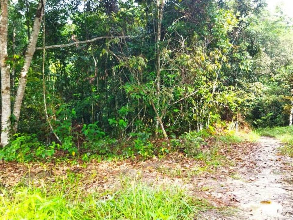Tanah Pertanian 2 Ekar Bukit Permata Gombak Akses Kereta Boleh Masuk Sesuai Dusun & Rumah Kebun