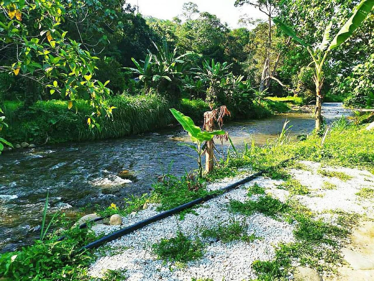 Dusun Durian Batu 19 Hulu Langat Berbuah Dekat Sungai Ada Pondok & Elektrik