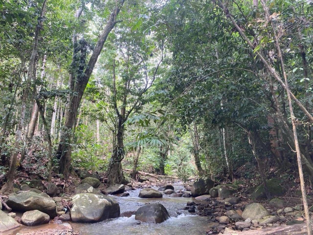 Tanah Pertanian 3.5 Ekar Sungai Lui Hulu Langat Ada Air Terjun Sesuai Resort & Campsite