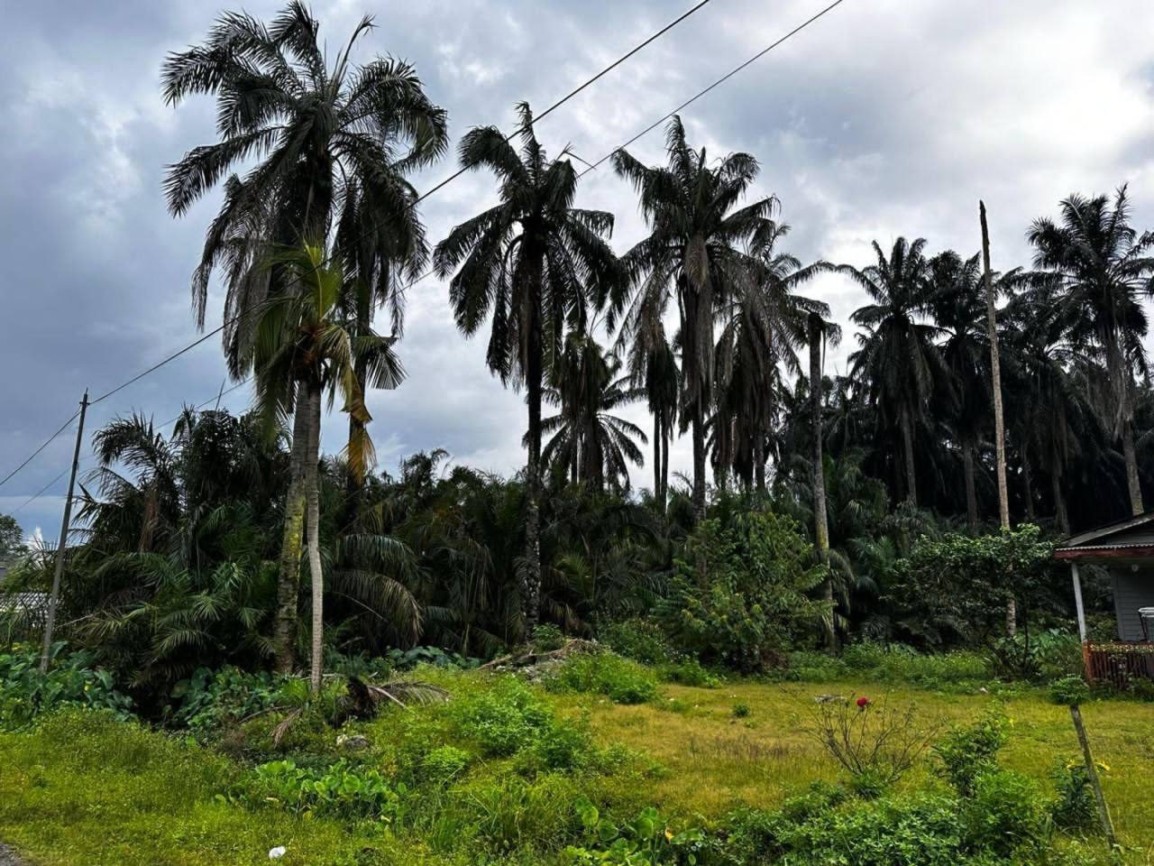 Tanah Pertanian 1.20 Ekar Ampar Tenang Dengkil Harga Bawah Pasaran