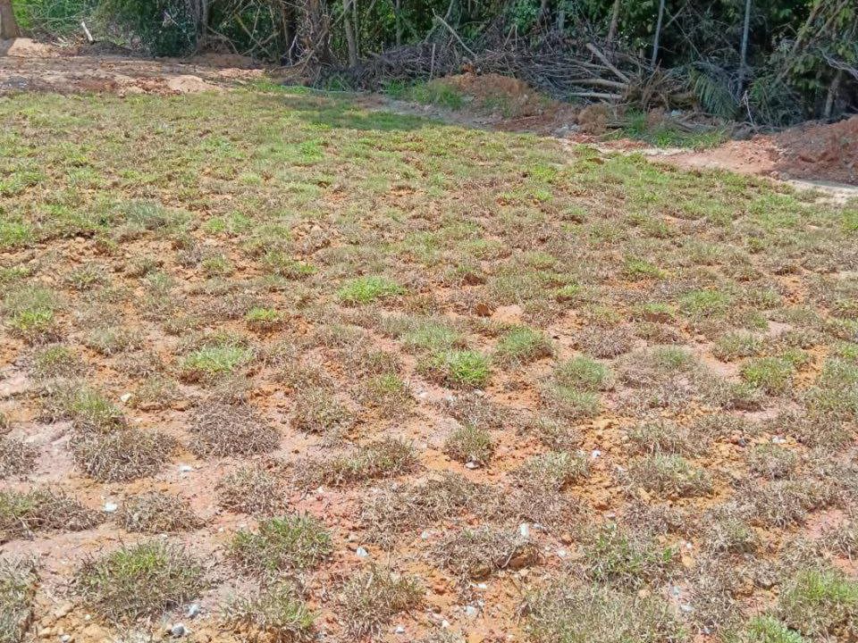 Tanah 3 Ekar Salak Tinggi Dengkil Zoning Perumahan Akses Jalan Sedia Ada