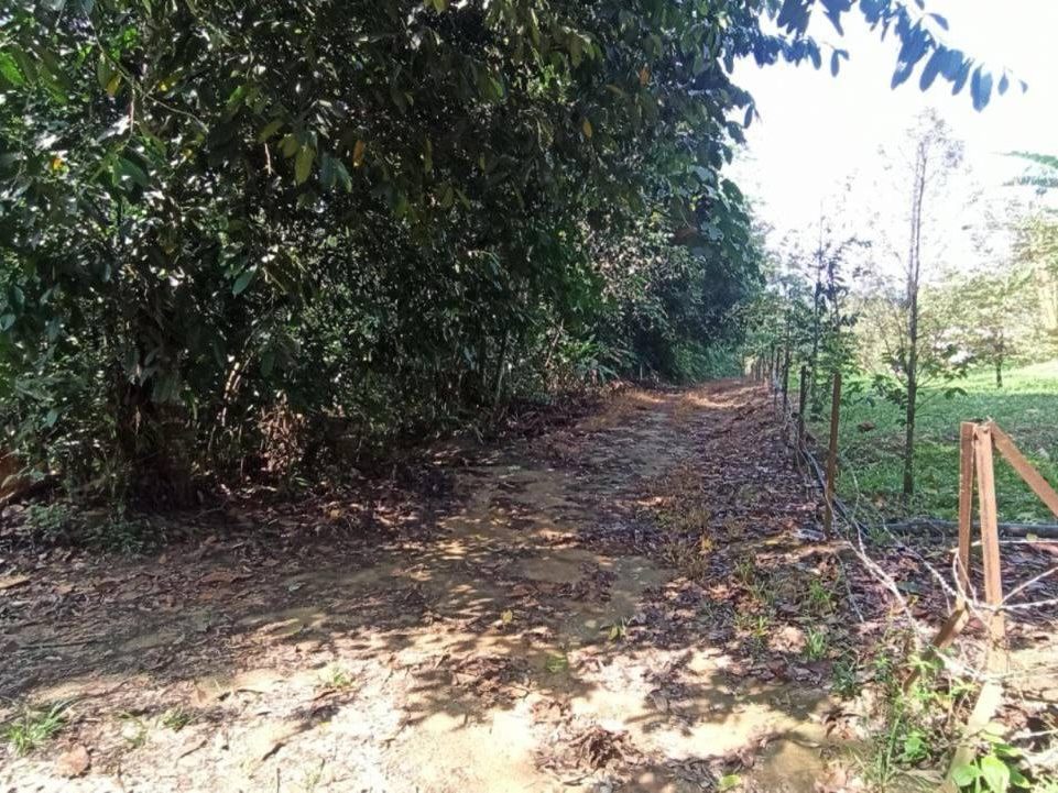 Tanah Pertanian 5.68 Ekar Sungai Lui Hulu Langat Freehold Akses Kemudahan