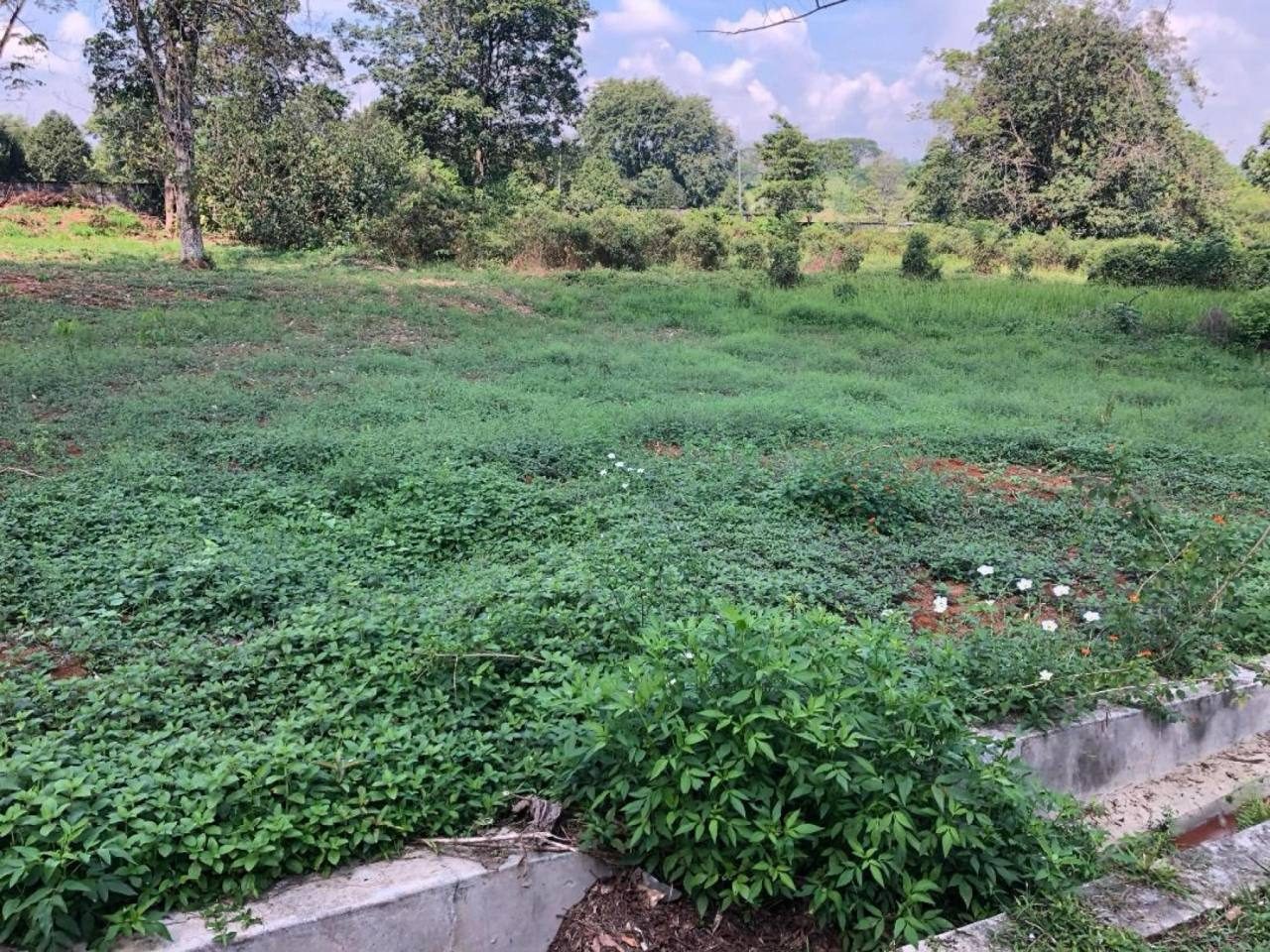 Tanah Banglo 19533 sqft Country Heights Kajang Gated Guarded Freehold