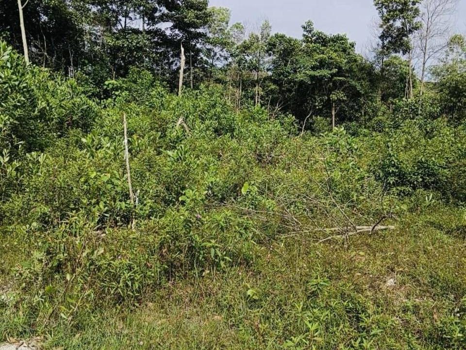 🏡 Lot Tanah Kediaman Bungalow @ Kg Sungai Buah, Dengkil, Selangor