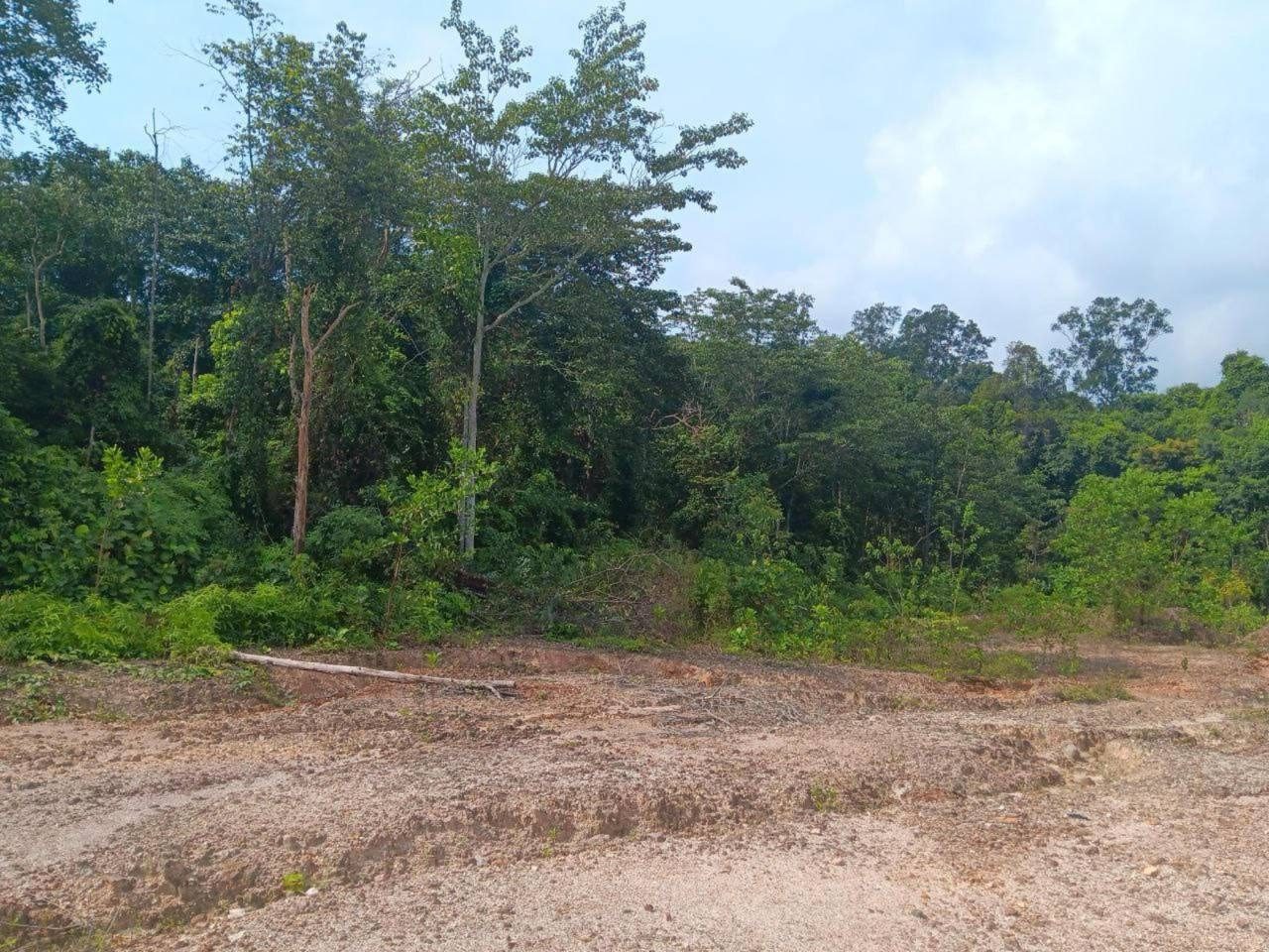 Tanah 2 Ekar Salak Road Dengkil 11 Lot Banglo Freehold Status Pembangunan