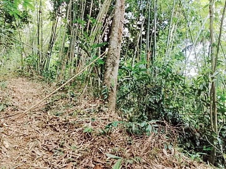 Tanah 3.4 Ekar Batu 23 Sungai Lawing Sungai Lui Hulu Langat Akses Gunung Hitam