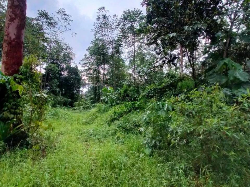 Tanah 2 Ekar Hulu Langat Jalan Tung Tung Sg Lui Freehold Geran Individu