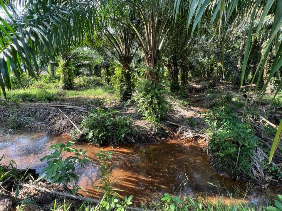 š¾ TANAH 2 EKAR UNTUK DIJUAL | KAMPUNG SERI CHEEDING, JENJAROM š¾