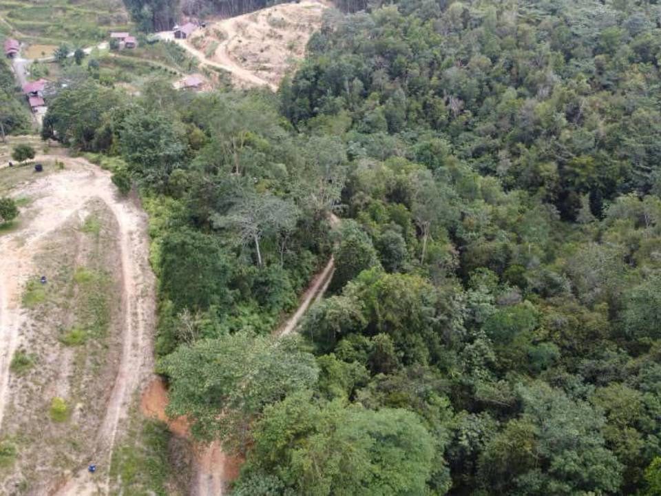 Tanah Pertanian 3 Ekar | Kalumpang, Hulu Selangor, Selangor