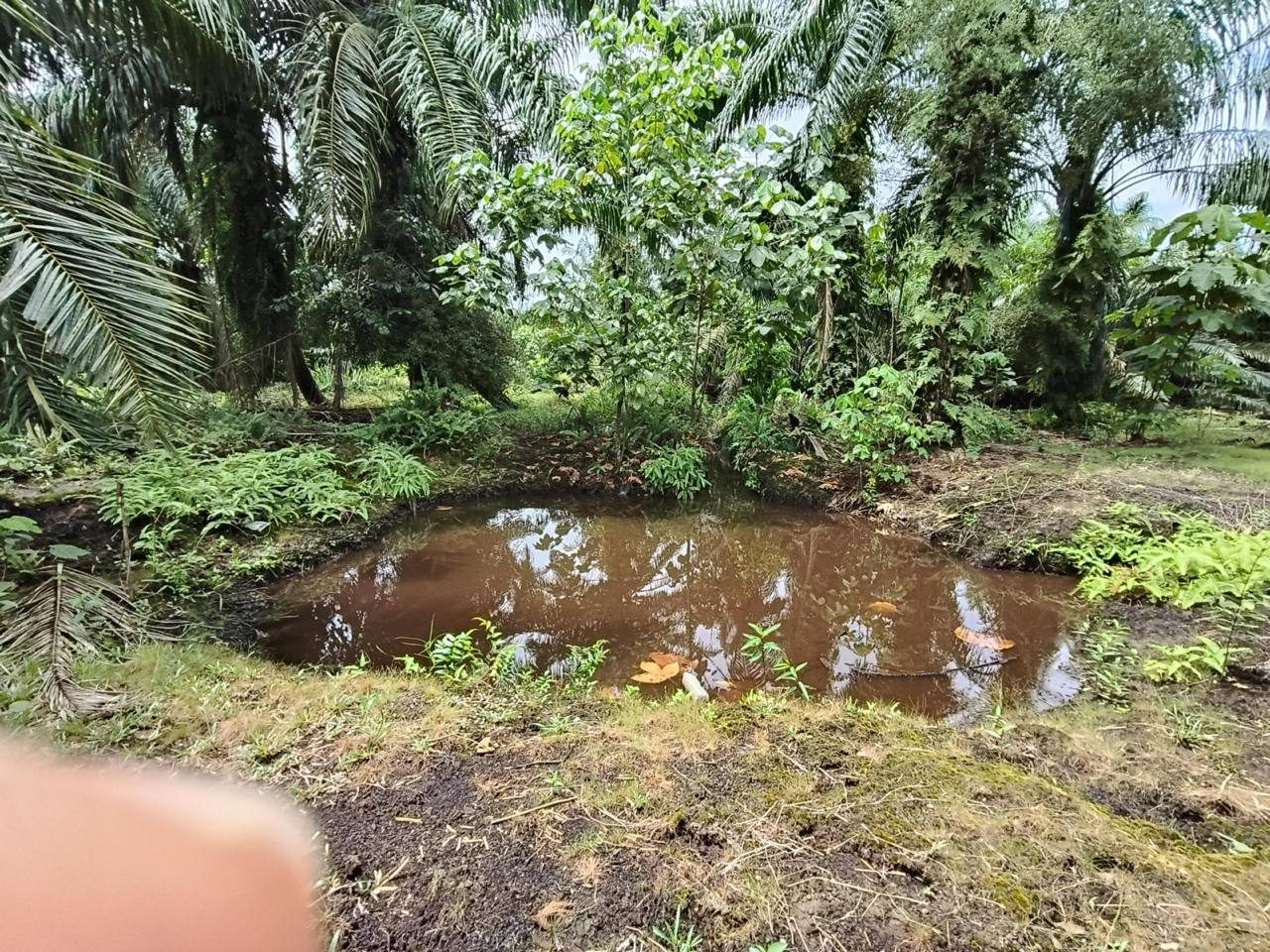 Tanah 4.56 Ekar ā Jenjarom, Selangor