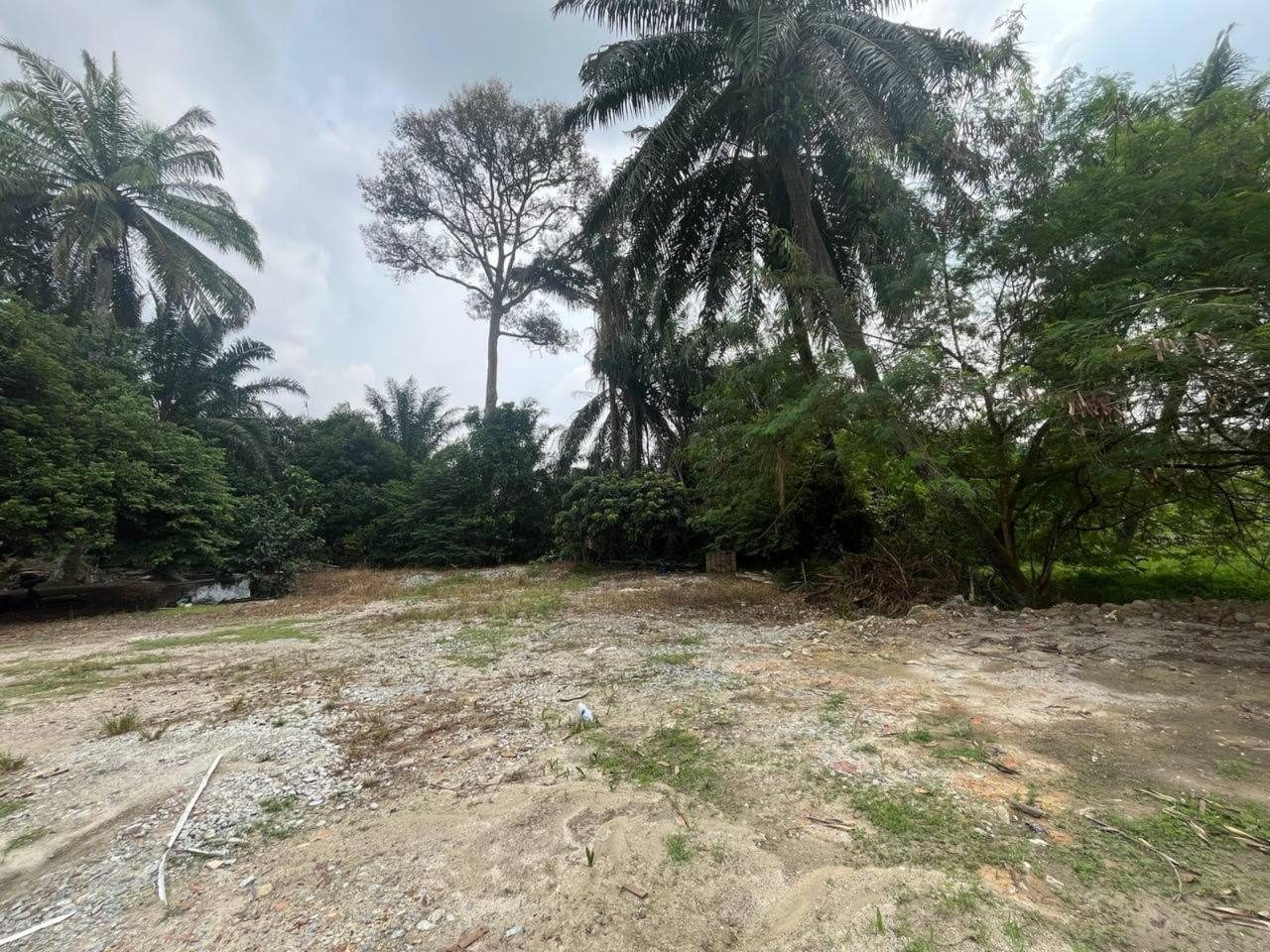 Tanah Pertanian 1.5 Ekar ā Kampung Budiman, Meru Klang