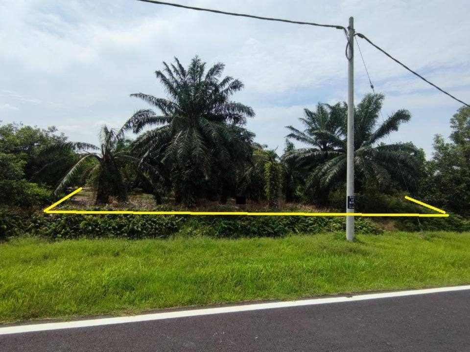 š“ Tanah Zoning Perumahan 1.5 Ekar ā Pulau Indah, Selangor