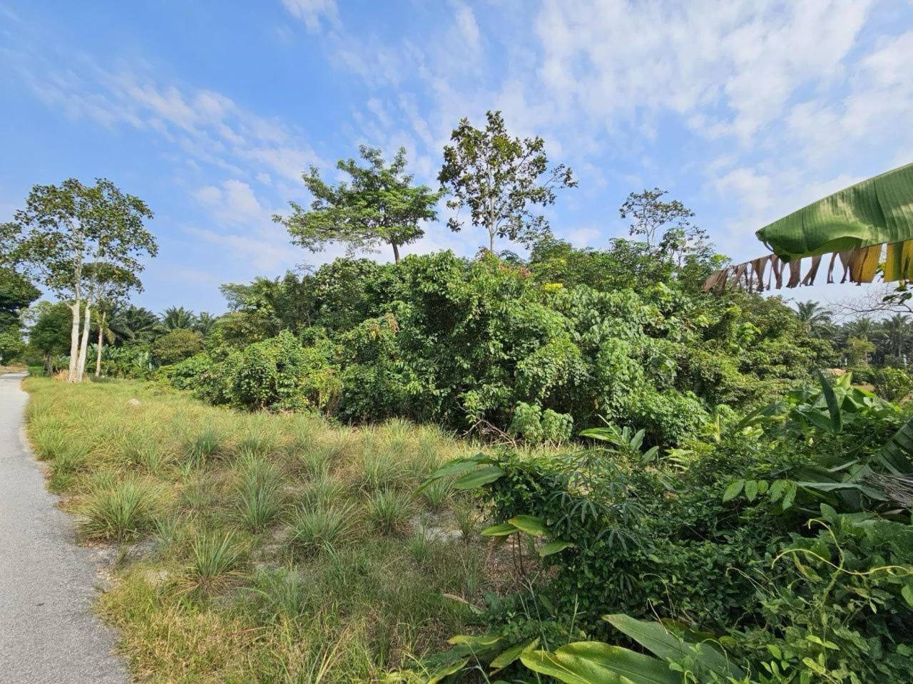 Tanah Pertanian Zoning Kediaman Sungai Jai Beranang 3 Ekar Freehold