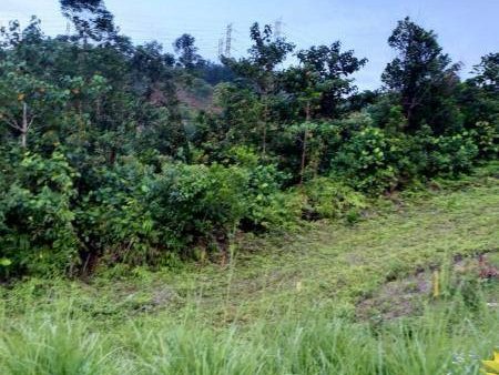 π³ Tanah 1.18 Ekar | Desa Vista, Salak Tinggi, Sepang
