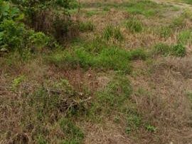 Lot Banglo 10,053 sqft | Salak Tinggi, Sepang