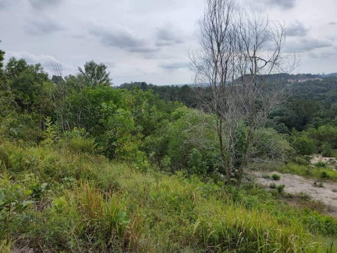 Tanah Pertanian 3.5 Ekar | Bandar Baru Salak Tinggi, Sepang