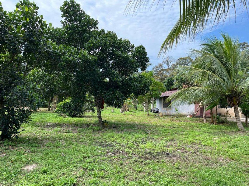 Tanah Pertanian Kuala Linggi Melaka 34,035 sqft