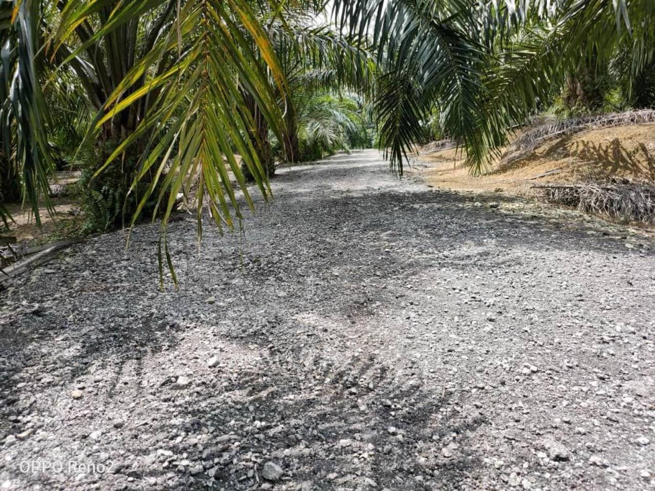 Tanah 3.2 Ekar Kg Bukit Cherakah Seksyen U15 Shah Alam Selangor Tepi Jalan Zoning Kediaman
