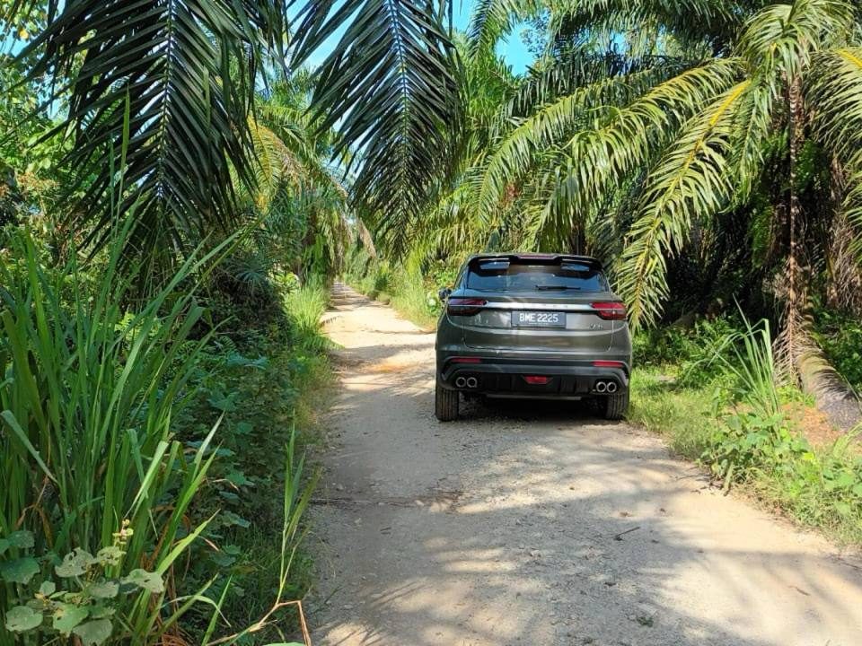 Tanah Pertanian 1.21 Ekar Sepang | Dekat KLIA & Sungai Blankan