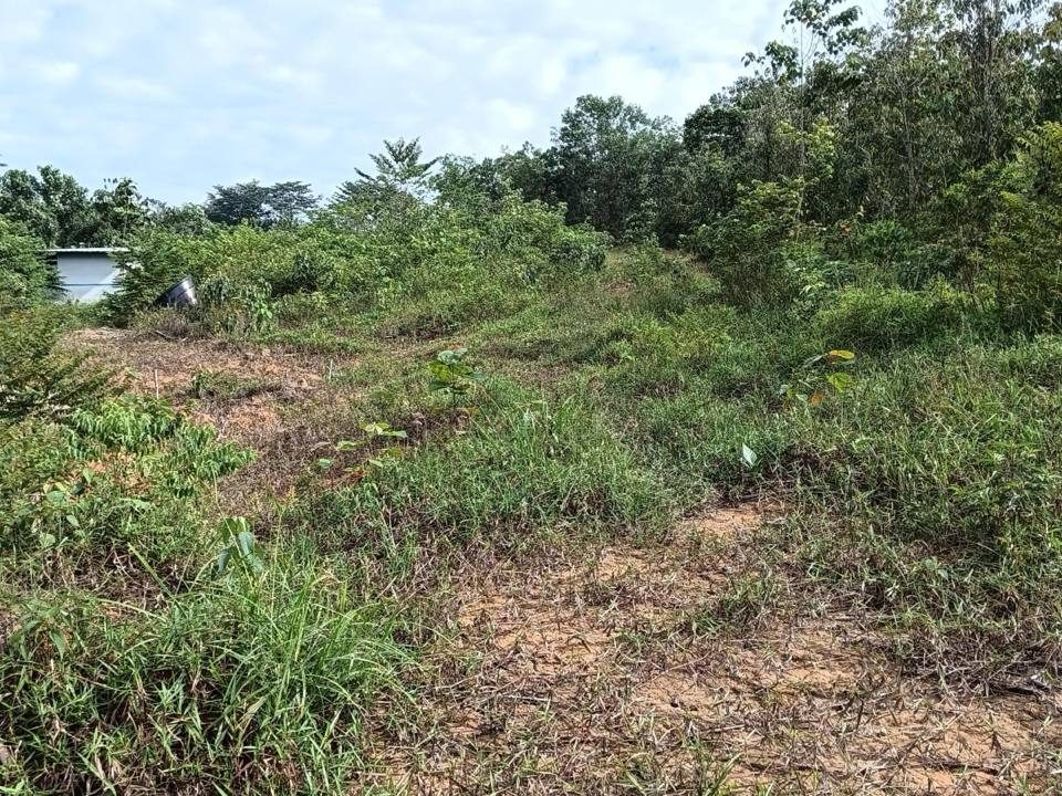 Tanah Pembangunan Perumahan Tepi Jalan B48 Salak Tinggi Sepang Selangor 15.92 Ekar Freehold