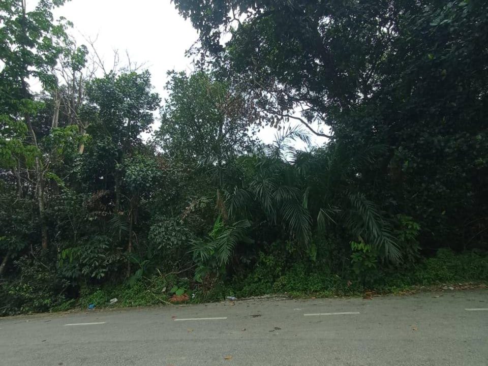 Tanah 1.87 Ekar Sg Pelong Sungai Buloh Freehold Zon Kediaman