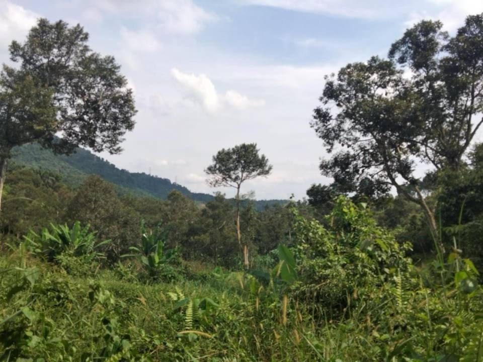 Tanah Pertanian 40.46 Ekar | Paroi, Ampangan, Senawang, Negeri Sembilan