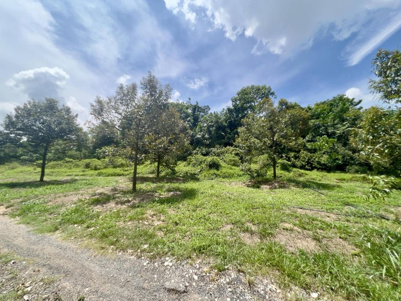 Tanah 2.06 Ekar Desa Jasmin Nilai Freehold