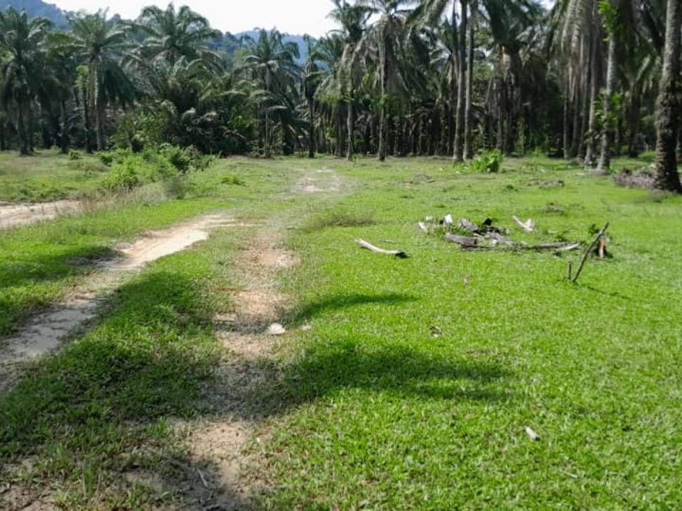 Tanah Pertanian 1.1 Ekar Lenggeng
