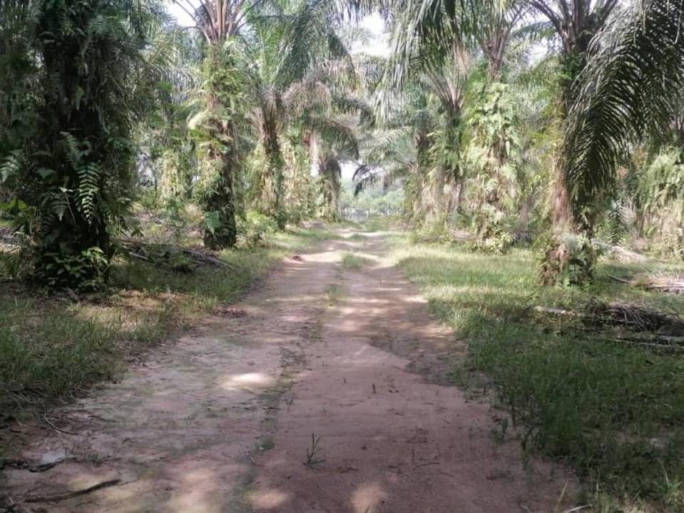 Tanah Pertanian Labu Seremban Negeri Sembilan 1.94 Ekar Freehold