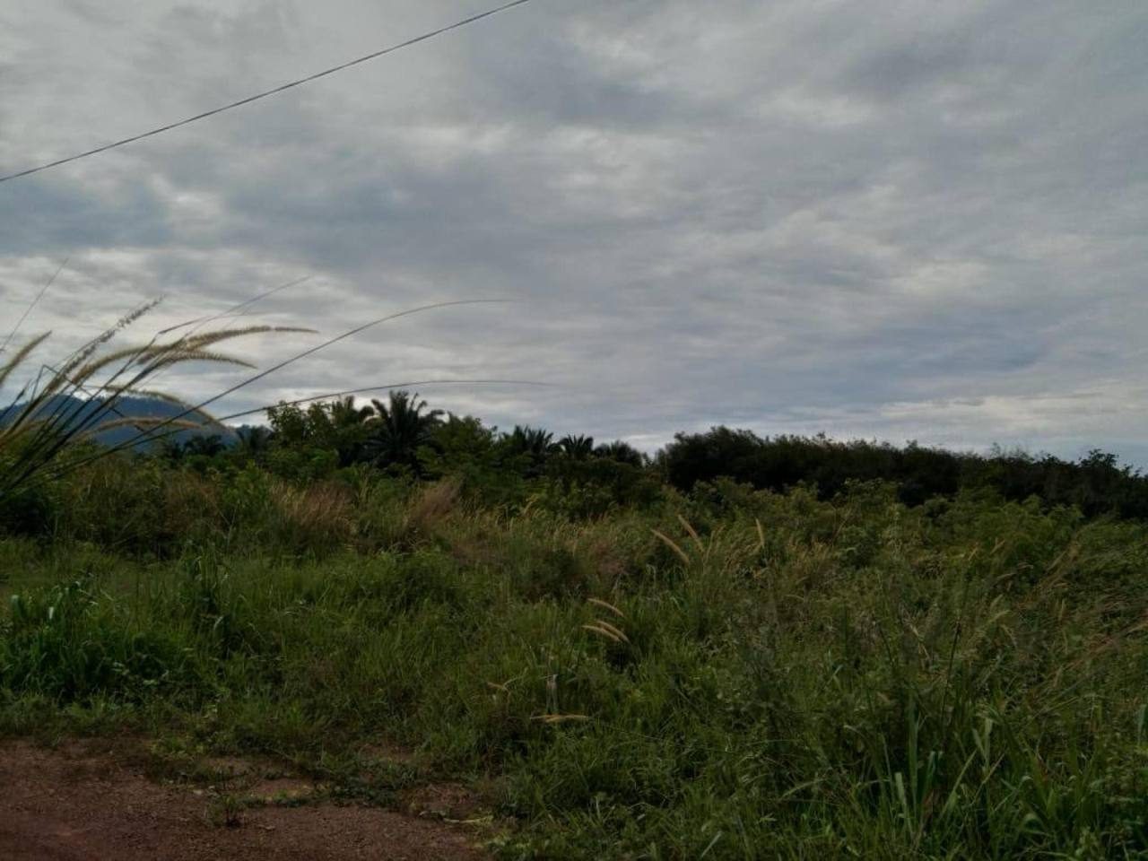 Tanah Pertanian Jempol Negeri Sembilan 2 Ekar Freehold
