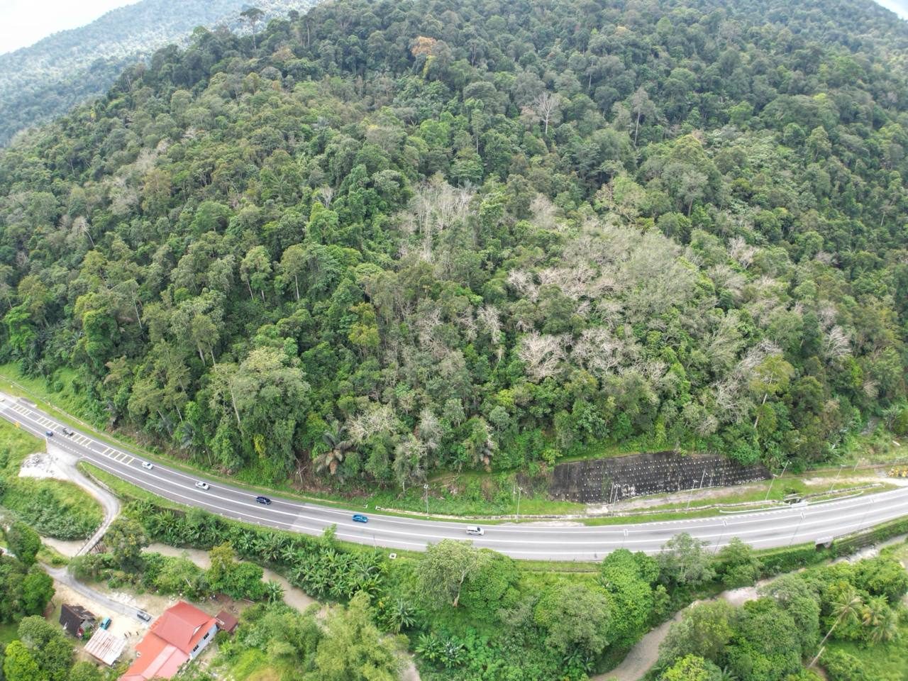 Tanah Pertanian 3.05 Ekar Terachi Kuala Pilah Negeri Sembilan Freehold