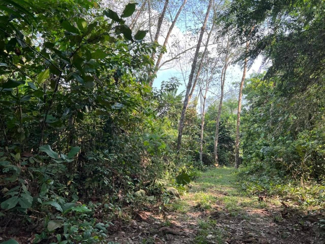 Tanah Pertanian 16 Ekar Jalan Pantai, Seremban | Freehold