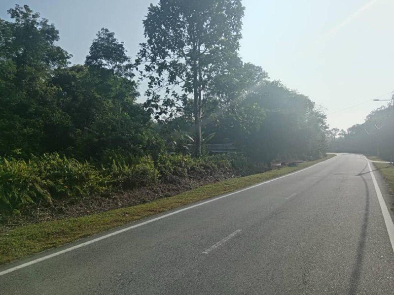 Tanah Pertanian Tanjung Kupang Gelang Patah Johor 61,529 sqft Freehold