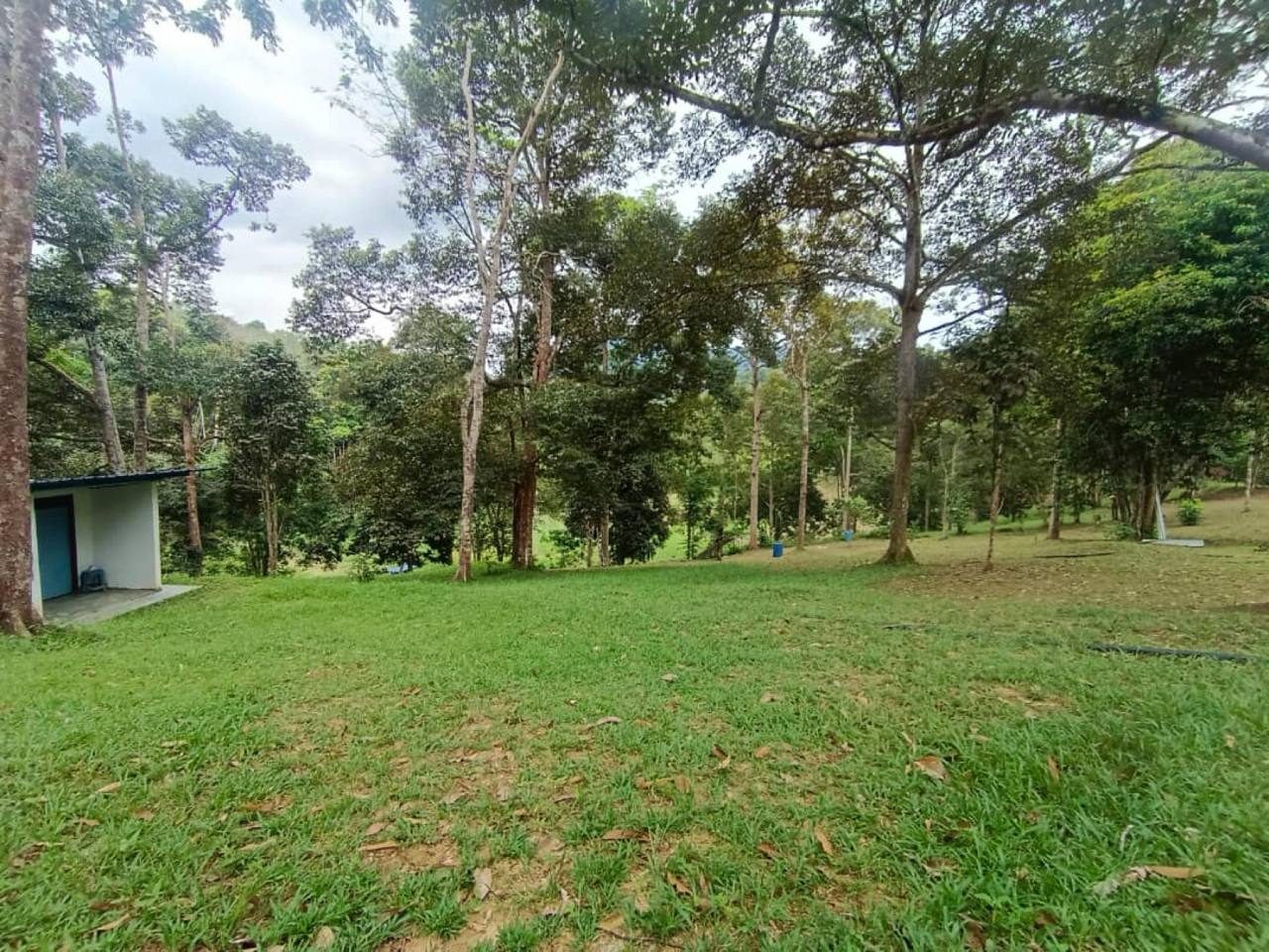 š³ Tanah Dusun 3.2 Ekar | Terachi Ulu Bendul, Kuala Pilah