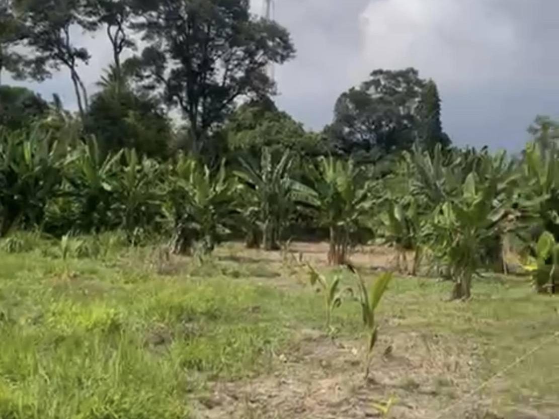 Tanah Pertanian 1.7 Ekar Kampung Jijan, Labu Negeri Sembilan | Freehold