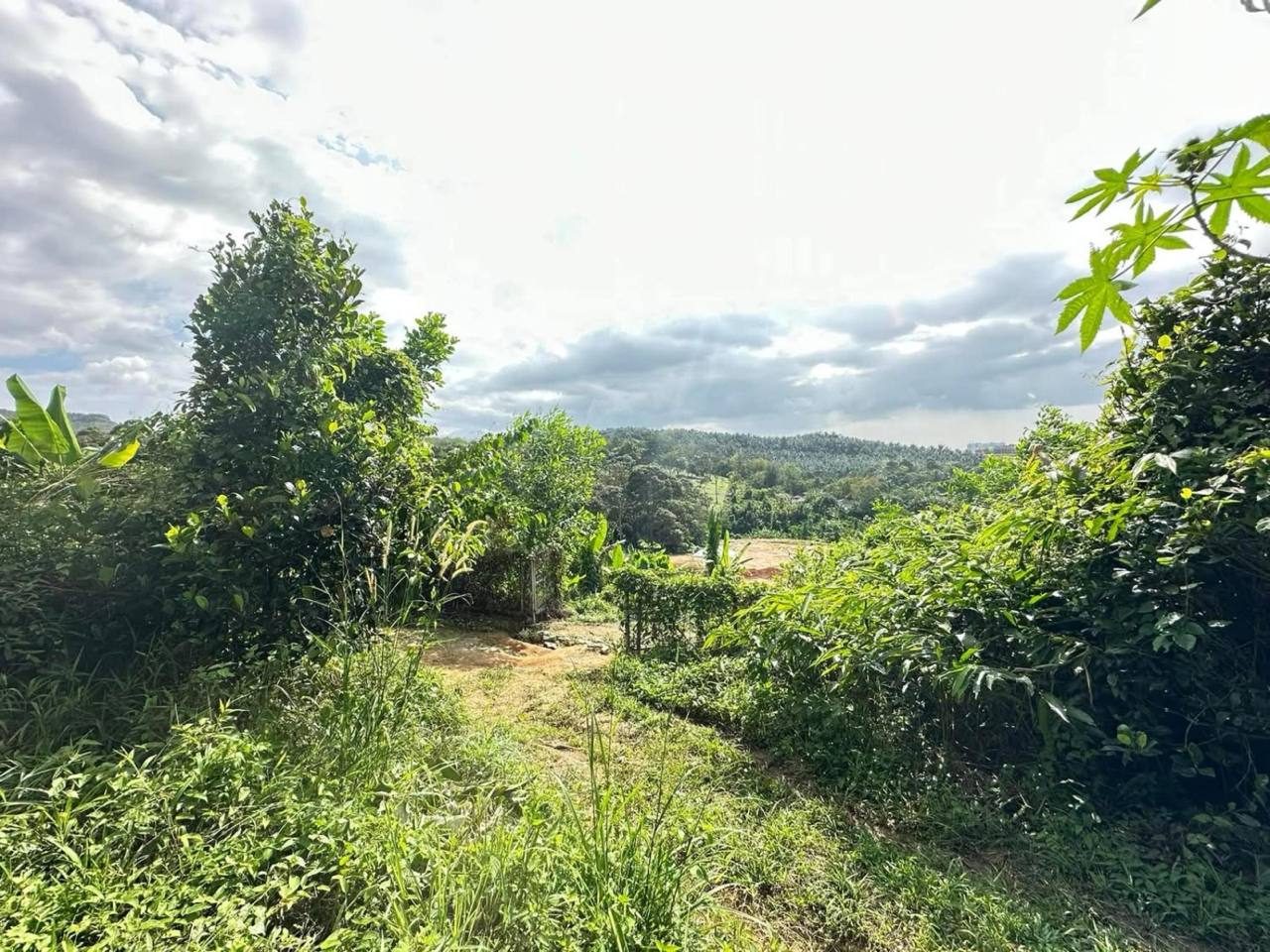 Tanah Kebun Atas Bukit 3.5 Ekar Sungai Mahang Nilai Freehold
