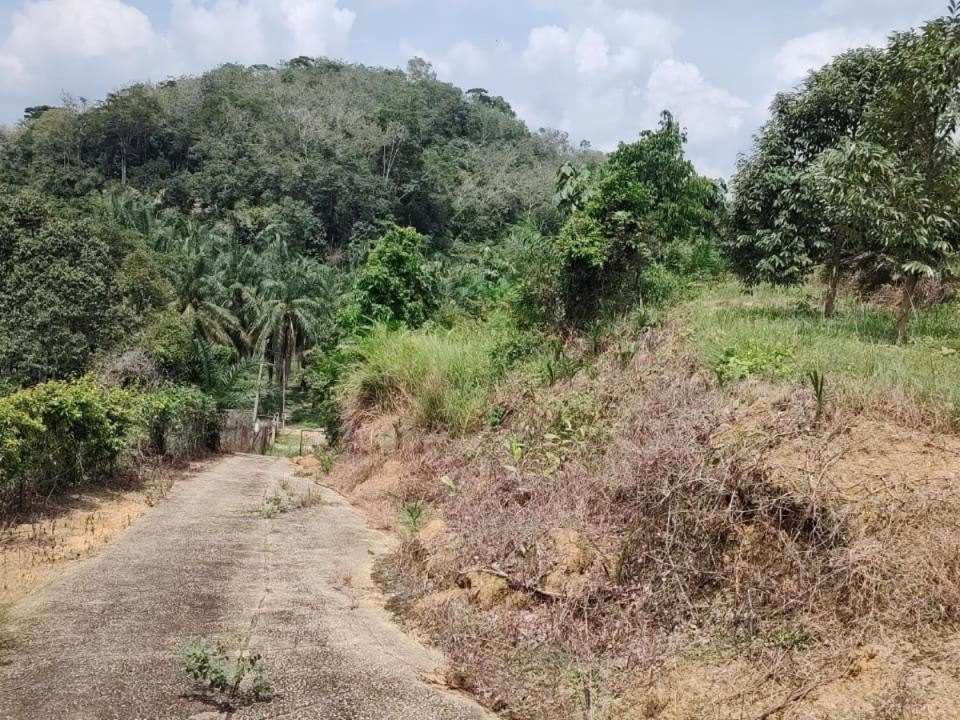 Dusun Durian 3.85 Ekar Sungai Dua Besar Kuala Pilah Negeri Sembilan Kawasan Berpagar