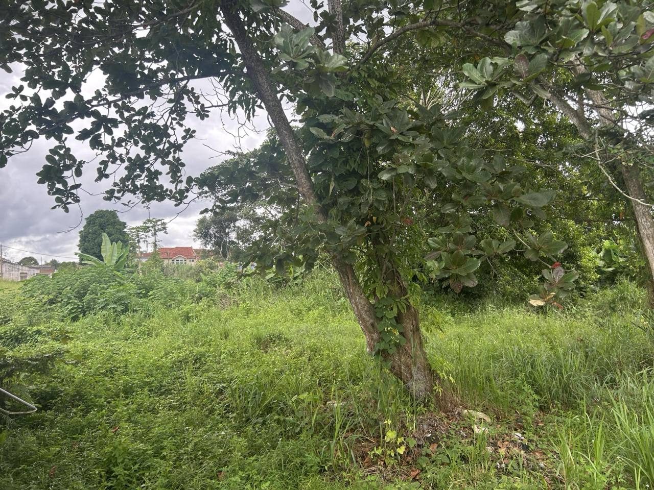 Tanah 1.21 Ekar Tepi Jalan Besar Mantin Town Berhadapan Main Road LEKAS Highway