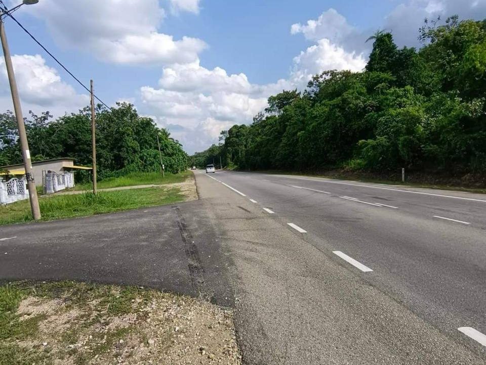 3.64 Ekar Freehold Tepi Jalan Utama @ Temerloh–Jerantut