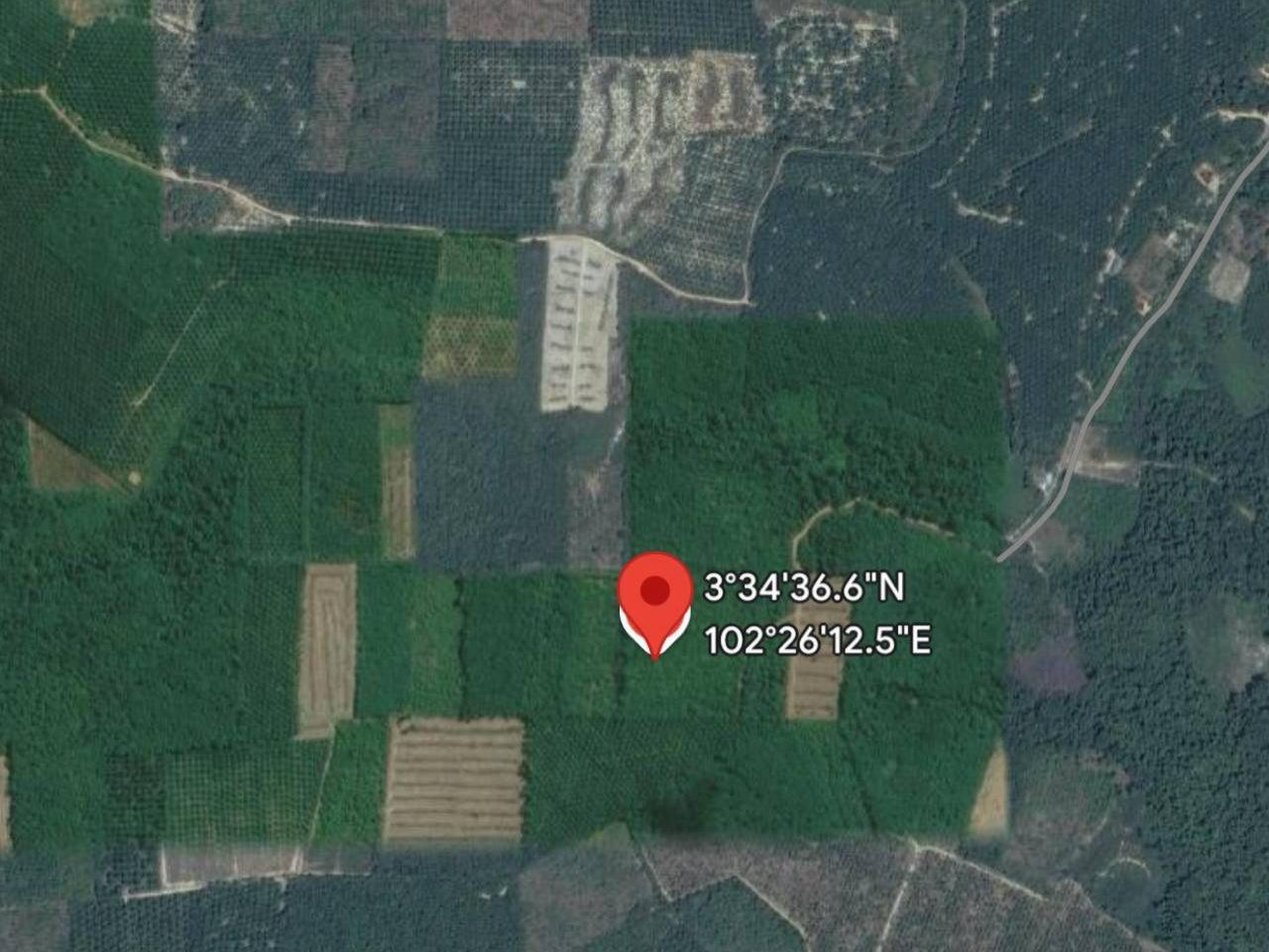 3.97 Ekar Tanah Pertanian Freehold @ Temerloh, Pahang