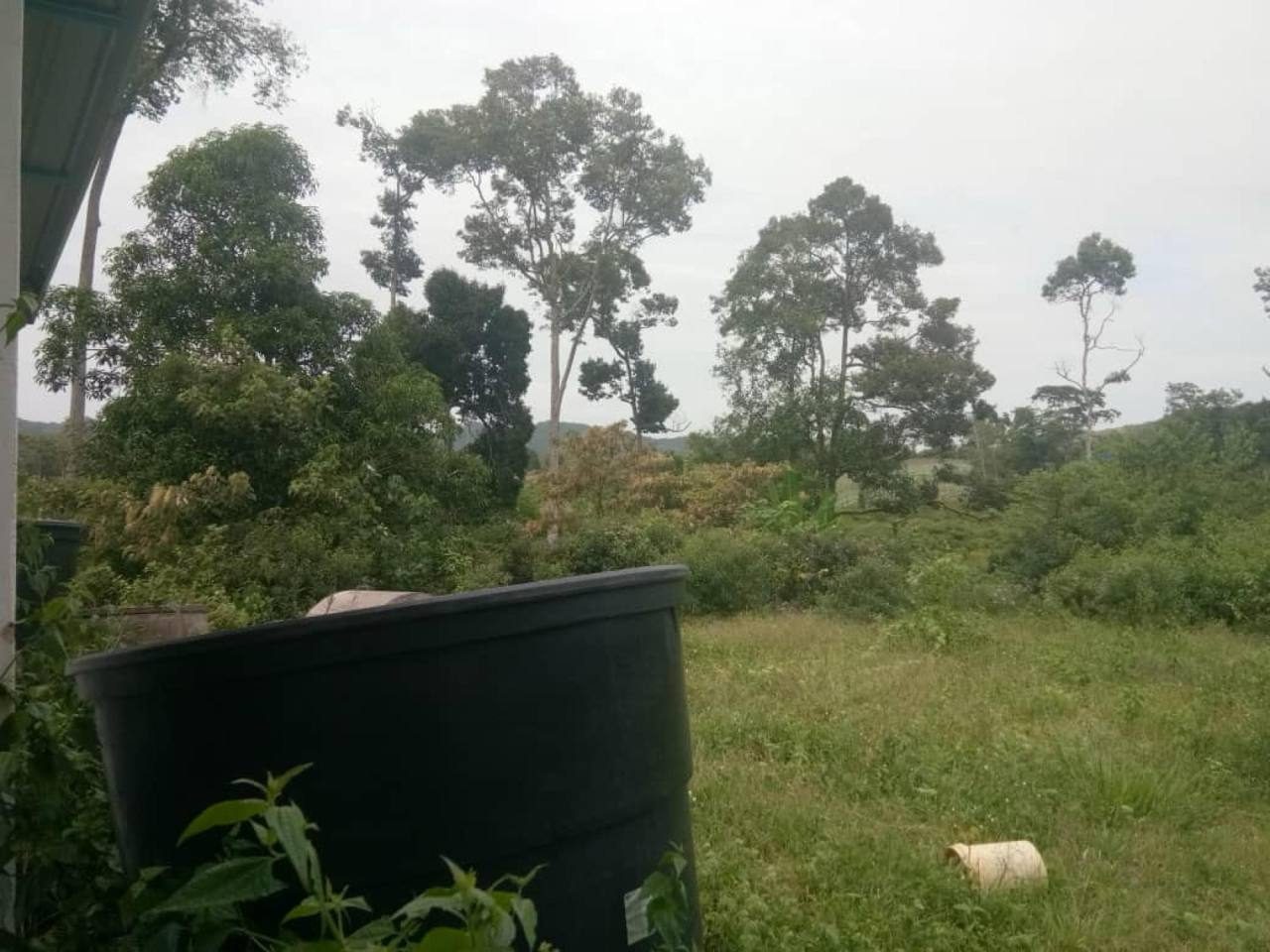 šæ TANAH CANTIK 8 EKAR ā FREEHOLD | GERAN INDIVIDU | LENDU, ALOR G4JAH šæ