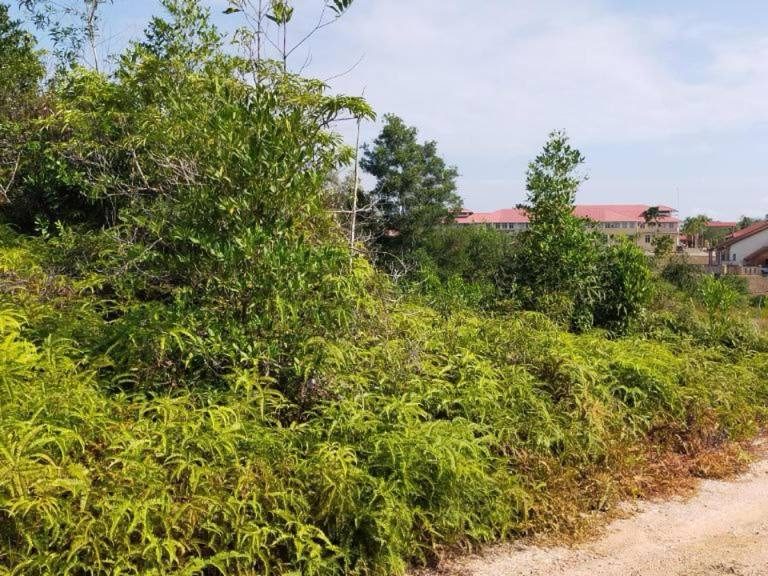 Tanah Lot Bangunan 5,005 sqft @ Depan MRSM Alor G4jah